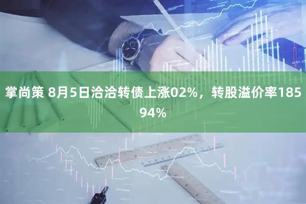 掌尚策 8月5日洽洽转债上涨02%,转股溢价率18594%